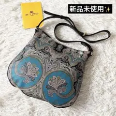 新品✨ETRO エトロ　ペイズリー柄　ショルダーバッグ　マルチカラー　レザーのサムネイル