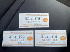 #特価【3枚】湯あみの島（里の湯）共通入泉サービス券2028年まで有効 長島温泉のサムネイル