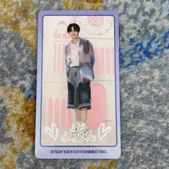 straykids 5'clockソウルコン ペンミ　アイエン