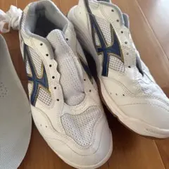 体育館シューズ　スニーカー ホワイト/ブルー　25.5