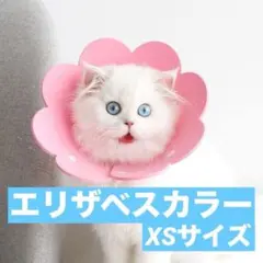 エリザベスカラー XSサイズ ピンク 傷舐め防止 着脱簡単 サイズ調整可能