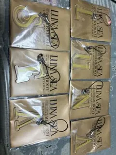 LUNA SEA REBOOT WORLD TOUR ストラップコンプリート 2025年最新】luna sea ストラップの人気アイテム - メルカリ