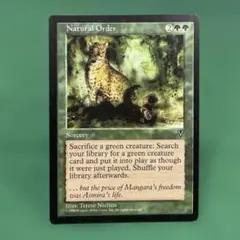 2026年最新】MTG 自然の秩序の人気アイテム - メルカリ