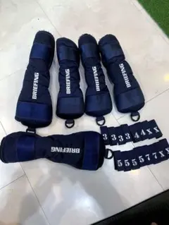 Item thumbnail for item 98f23064-248f-4c38-940a-dcc6d98bcb4b