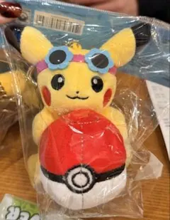 韓国限定 OLIVE YOUNG ピカチュウぬいぐるみ ポケモン2個 b - メルカリ