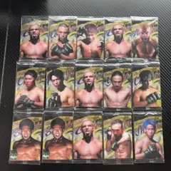 RIZIN トレーディングカード 大量セット