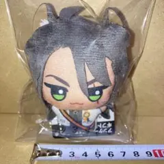 ナムコ限定 ツイステ チビちびぐるみ おめかしバースデー レオナ 新品 タグ付き