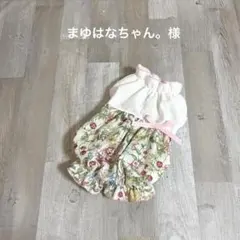 Item thumbnail for item 41d79376-335b-41f1-bfbe-a436045675c7