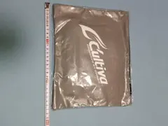 Item thumbnail for item a5538d15-f81e-431b-ac82-4a503f64e31e