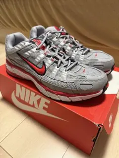 【最終値下げ価格】NIKE ナイキ P6000 完売モデル