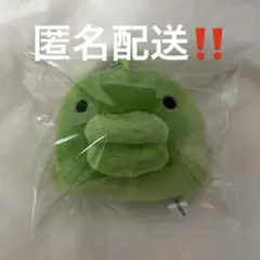 くちぱっち　たまごっち　フェイスぬいぐるみ ガチャガチャ