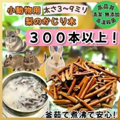 Item thumbnail for item 7258917e-b607-45b7-80ec-1e412c2d4b94