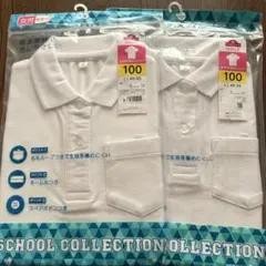 Item thumbnail for item 79836bbf-c7a3-42a6-9679-59b9e9fb337e