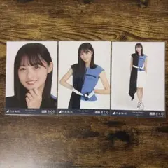 2026年最新】遠藤さくら 生写真の人気アイテム - メルカリ