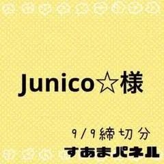 Junico☆製作お休み中様