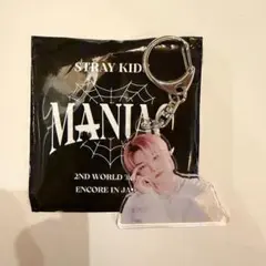 straykids アクリルキーホルダー maniac アイエン