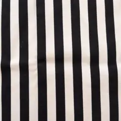 ツイル生地　白×黒　ボーダー柄　ストレッチ　約120×53センチ