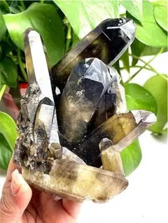 AAAA級魔除け天然モリオン黒水晶クラスターB1210/YS/1000/190D AAAA級魔除け天然モリオン黒水晶クラスターB1210/YS/1000/190D - メルカリ