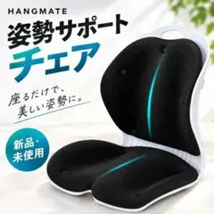 【腰の神様がくれた特等席】 姿勢矯正 椅子 骨盤サポート 姿勢サポート　腰痛