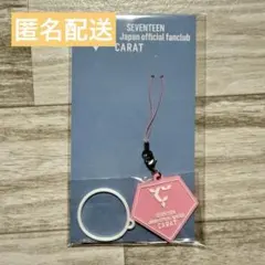 SEVENTEEN セブチ シリコンリング ラバーチャーム