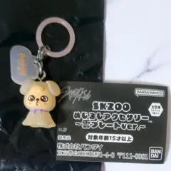 スキズ SKZOO めじるしアクセサリー 雲プレート スンミン