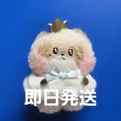 2026年最新】グループ名：ZEROBASEONE ぬいぐるみ・マスコットの人気