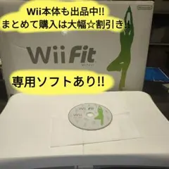 【動作確認済】Wii Fit バランスボード 箱付