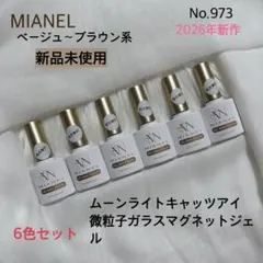 No.973 MIANEL ベージュ ブラウン 微粒子 ガラスマグネットジェルのサムネイル