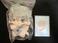 柳様 リクエスト 2点 まとめ商品