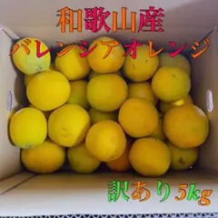 和歌山県産バレンシアオレンジ訳あり5kgのサムネイル