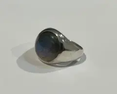 Item thumbnail for item da632e92-cb86-4e24-ae3c-0c64777f7202