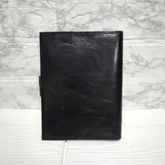 Item thumbnail for item 06db7020-d892-46c3-a4ed-a2cee521681c