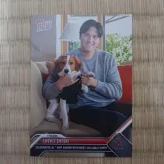 topps now デコピン