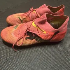 フューチャーアルティメットfg/ag
