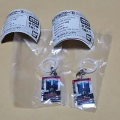 仮面ライダーめじるしアクセサリー３　ライダーカード