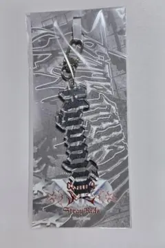 StrayKids スキズ VR 会場限定 キーホルダー ヒョンジン