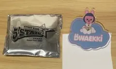 Straykids スキズ skzoo ネームバッチ トゥエッキ チャンビン