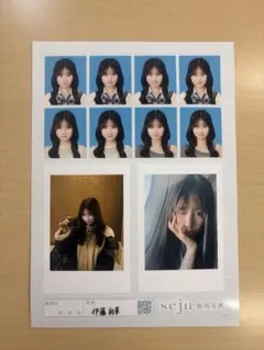 seju 証明写真 2L 伊藤彩華のサムネイル