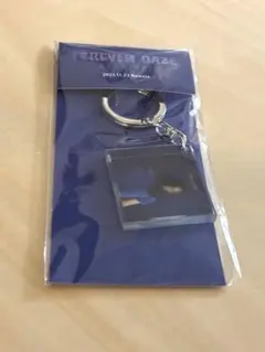 2026年最新】ラッドウィンプス キーホルダーの人気アイテム - メルカリ