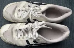 アシックス体育館シューズ 25cm ホワイト/ネイビー