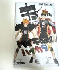 ハイキュー！！ ハイカラ 公式カラーイラスト集 JUMP 古舘春一