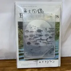 に*郎様 【シュリンク未開封】サカナクション魚図鑑 完全生産限定盤プレミアムBO 魚図鑑(完全生産限定プレミアムBOX) 中古CD | ブックオフ公式