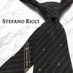 ✨ 미사용 級✨ステファノリッチSTEFANO RICCI ネクタイブラックシルク