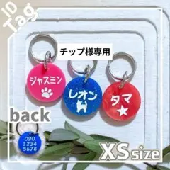 【チップ様専用】ミニサイズの迷子札◯丸型◯アクリル◯両面彫刻　オーダーメイド