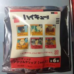 ハイキュー!! トレーディングアクリルクリップ vol.2 山口忠のサムネイル
