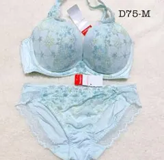 トリンプブラショーツセットD75
