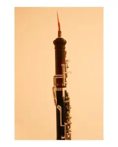 2026年最新】オーボエ チューブの人気アイテム - メルカリ