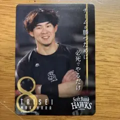 ソフトバンクホークス 牧原大成 トレカ