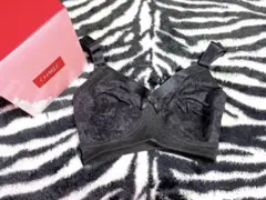 シャルレ ロングセラーブラジャー E85 2枚入★ ショコラ FA023 新品★ しっかり補整・ロングセラーブラジャー ＜Cシリーズ＞ FA023