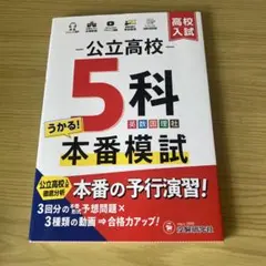 Item thumbnail for item f5de2637-a1f8-4d17-862b-26463e78f10e